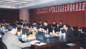 進軍光伏領域，是中國最早投身光伏行業的企業之一