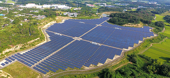 YLM 3.0 系列（P型PERC）